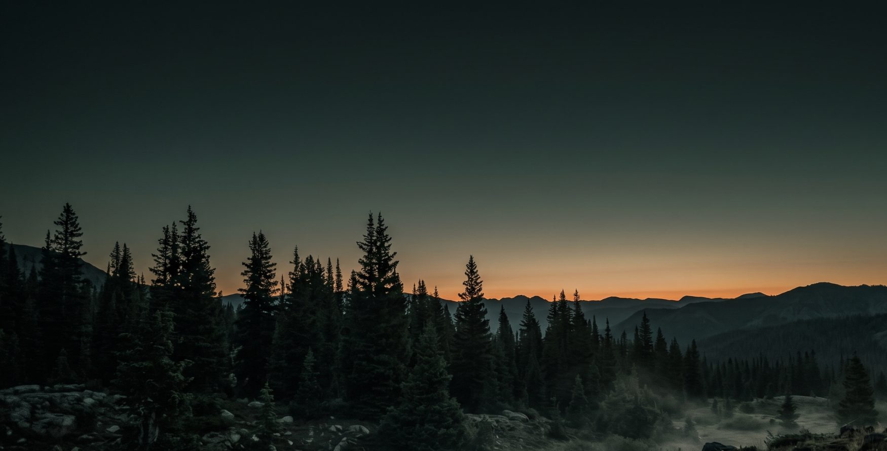 Misty pre-dawn alpine treeline in the American West